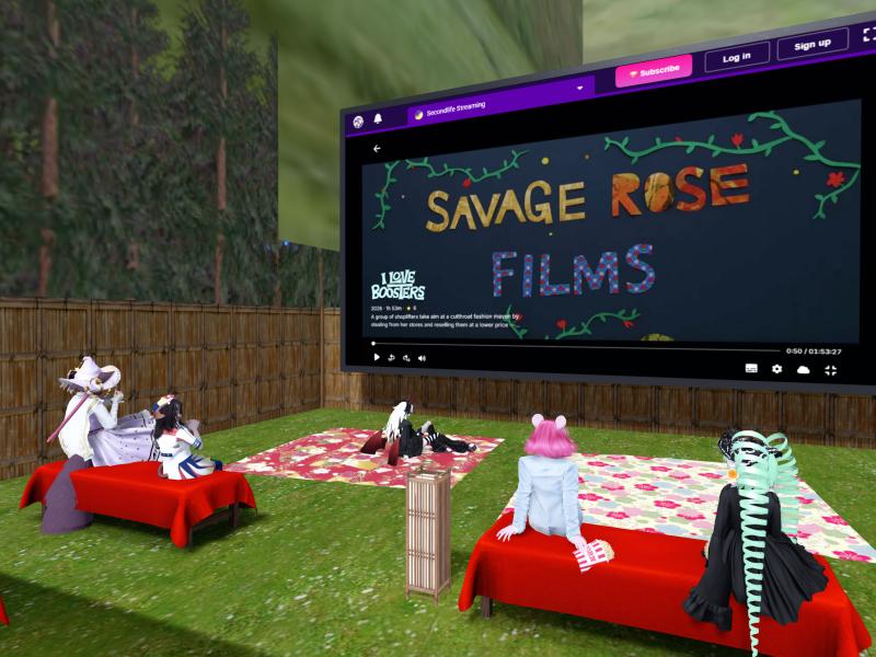 A compressed screenshot from Second Life of my adventures.