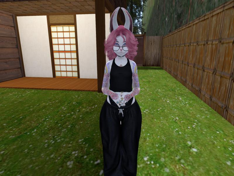 A compressed screenshot from Second Life of my adventures.