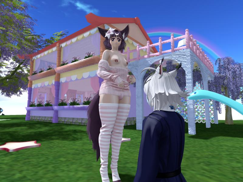 A compressed screenshot from Second Life of my adventures.