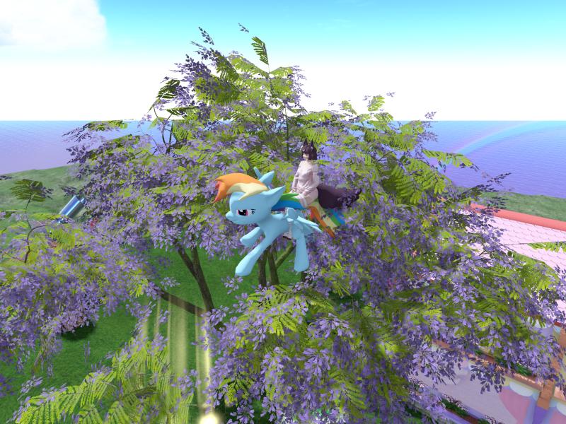 A compressed screenshot from Second Life of my adventures.
