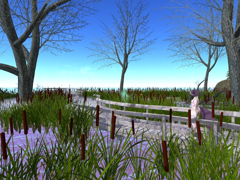 A compressed screenshot from Second Life of my adventures.