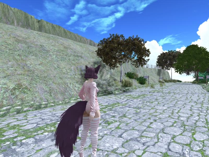 A compressed screenshot from Second Life of my adventures.