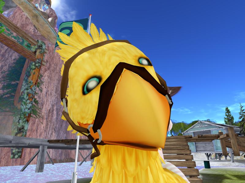 A compressed screenshot from Second Life of my adventures.