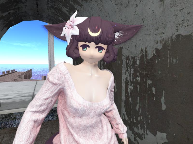A compressed screenshot from Second Life of my adventures.