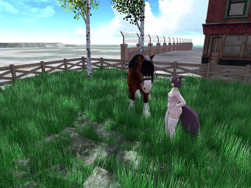 A compressed screenshot from Second Life of my adventures.
