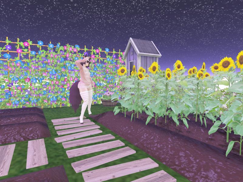 A compressed screenshot from Second Life of my adventures.