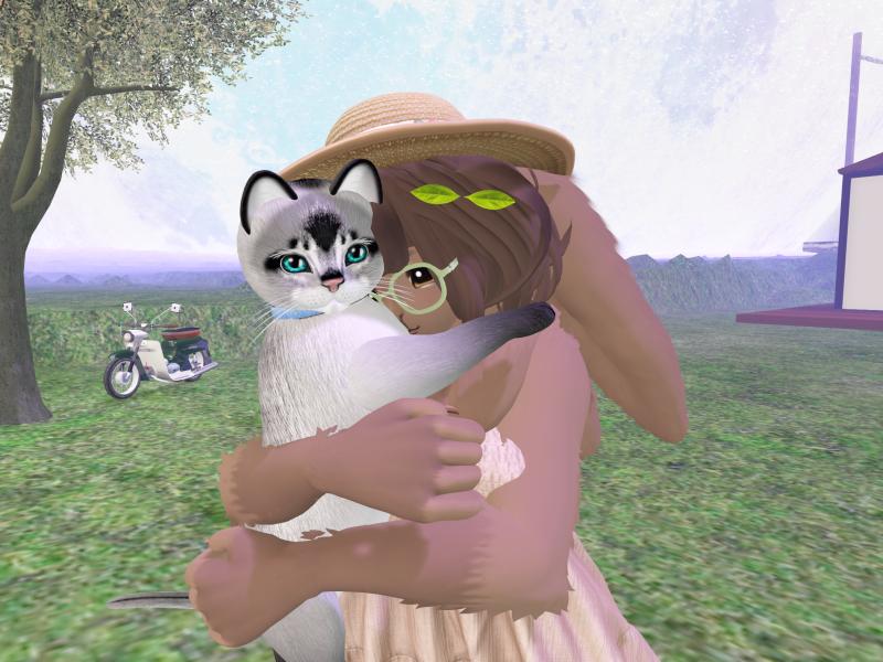 A compressed screenshot from Second Life of my adventures.