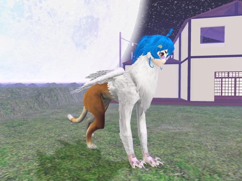 A compressed screenshot from Second Life of my adventures.