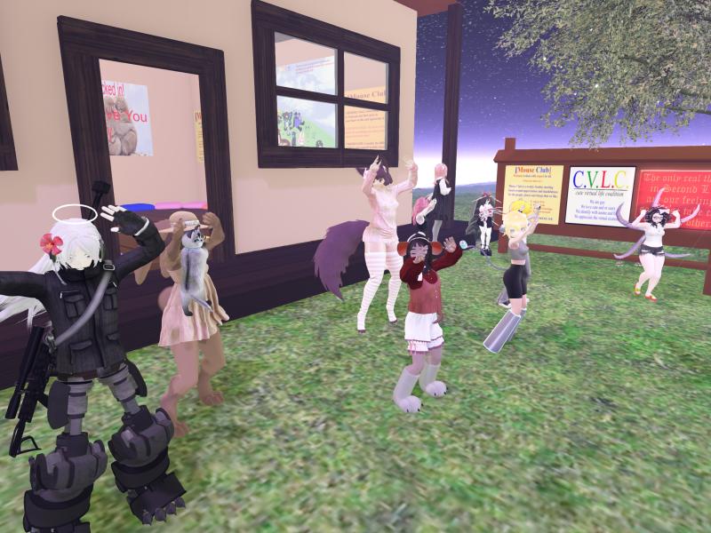 A compressed screenshot from Second Life of my adventures.