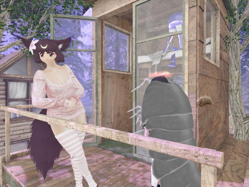 A compressed screenshot from Second Life of my adventures.