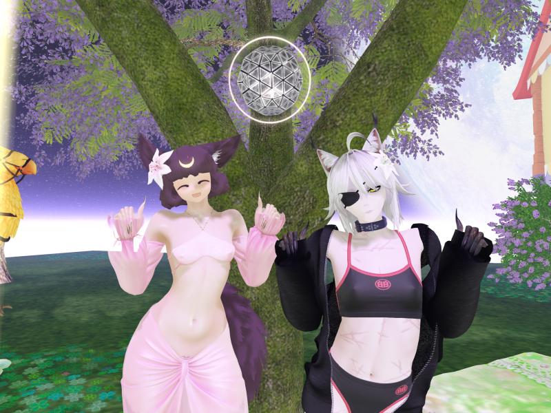 A compressed screenshot from Second Life of my adventures.