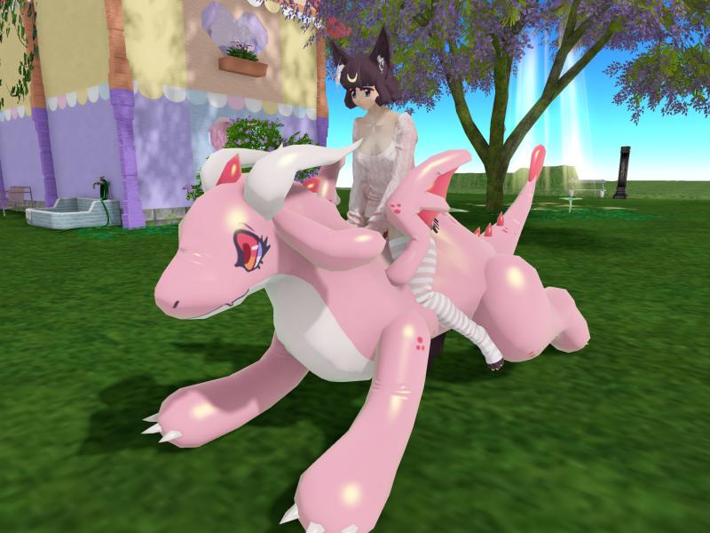 A compressed screenshot from Second Life of my adventures.