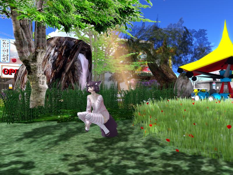 A compressed screenshot from Second Life of my adventures.