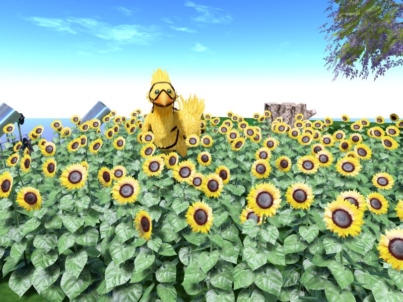 A compressed screenshot from Second Life of my adventures.