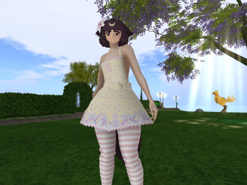 A compressed screenshot from Second Life of my adventures.