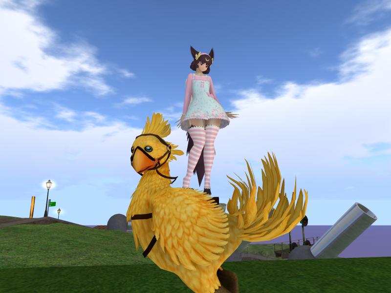 A compressed screenshot from Second Life of my adventures.