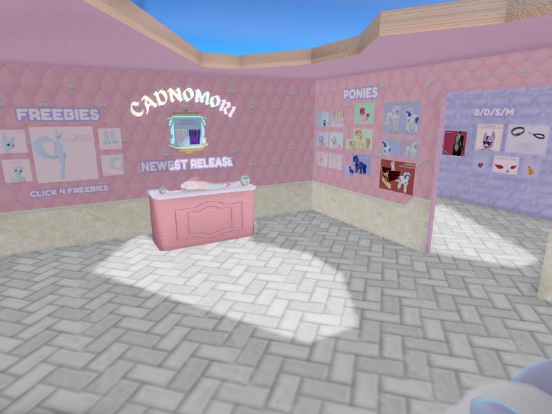 A compressed screenshot from Second Life of my adventures.