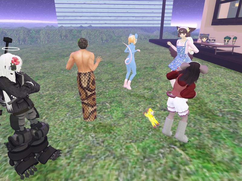 A compressed screenshot from Second Life of my adventures.