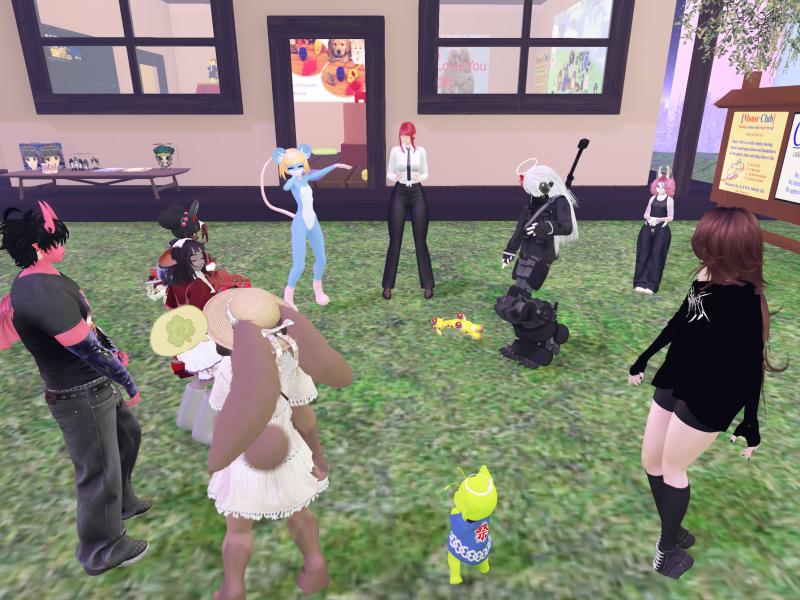 A compressed screenshot from Second Life of my adventures.