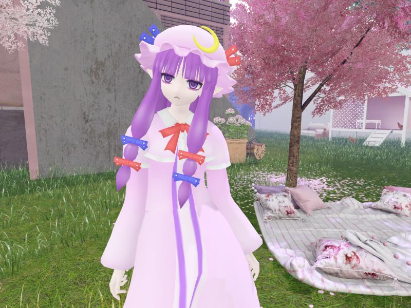 A compressed screenshot from Second Life of my adventures.