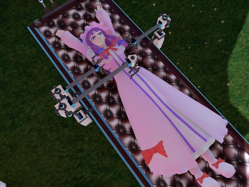 A compressed screenshot from Second Life of my adventures.