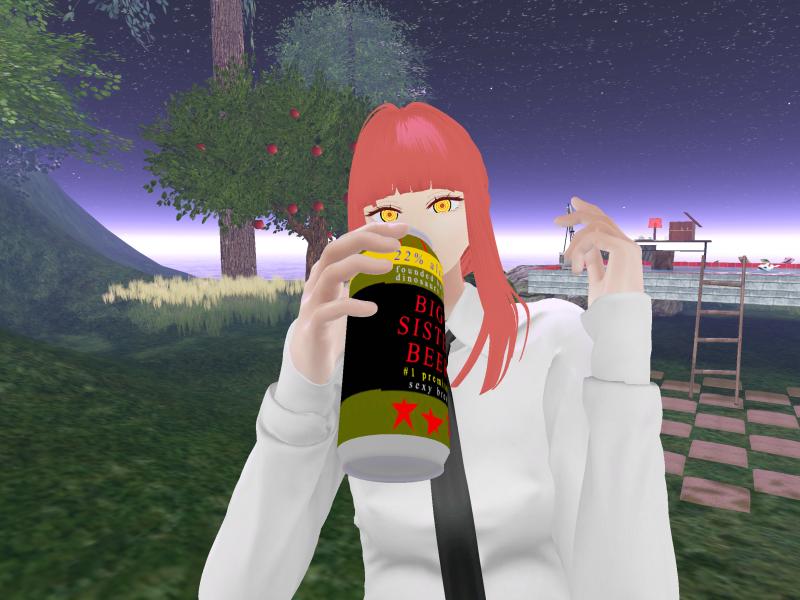 A compressed screenshot from Second Life of my adventures.