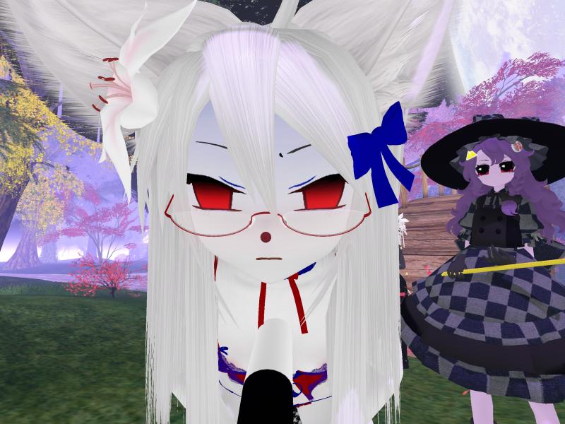 A compressed screenshot from Second Life of my adventures.