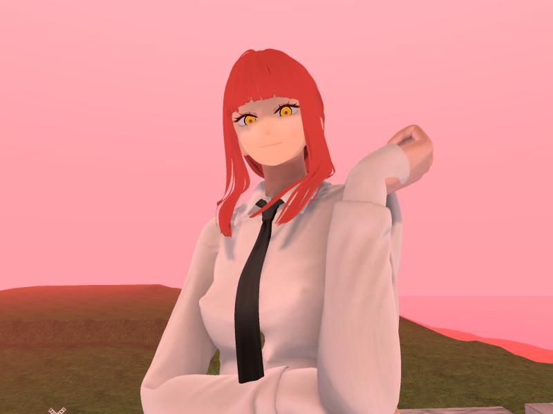 A compressed screenshot from Second Life of my adventures.