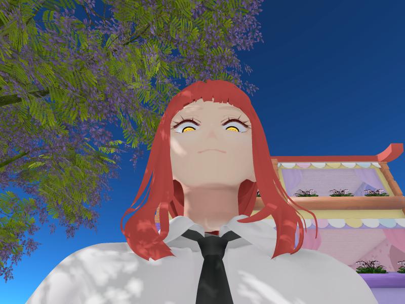 A compressed screenshot from Second Life of my adventures.