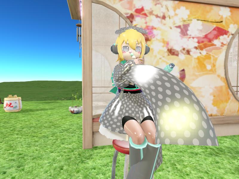 A compressed screenshot from Second Life of my adventures.