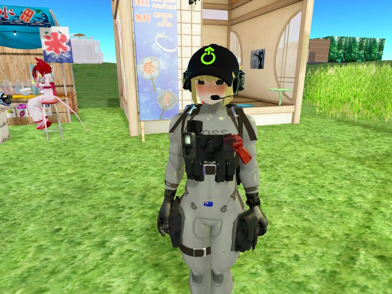 A compressed screenshot from Second Life of my adventures.