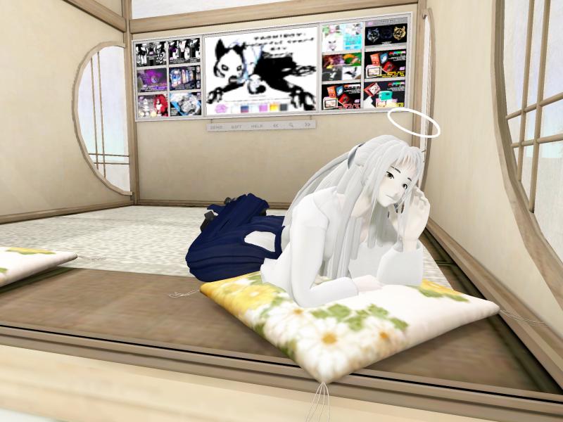 A compressed screenshot from Second Life of my adventures.