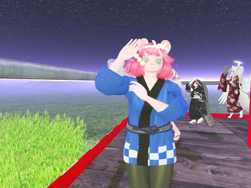 A compressed screenshot from Second Life of my adventures.