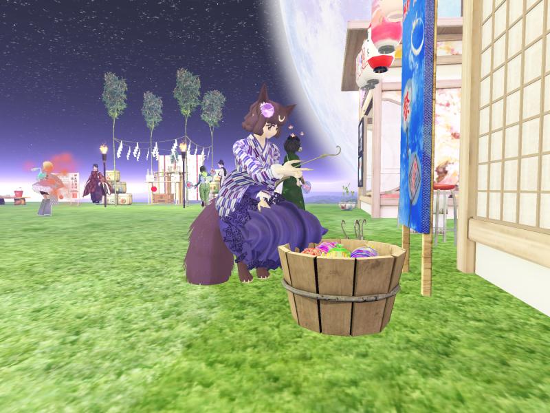 A compressed screenshot from Second Life of my adventures.