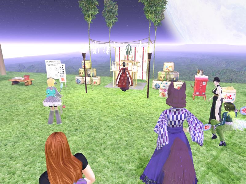 A compressed screenshot from Second Life of my adventures.