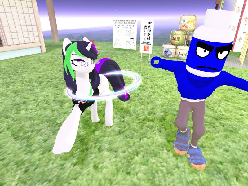 A compressed screenshot from Second Life of my adventures.