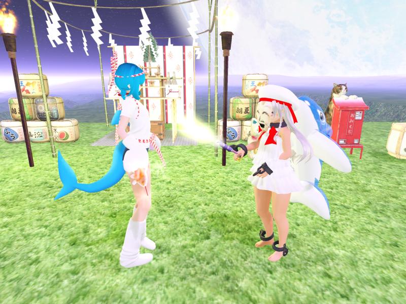 A compressed screenshot from Second Life of my adventures.