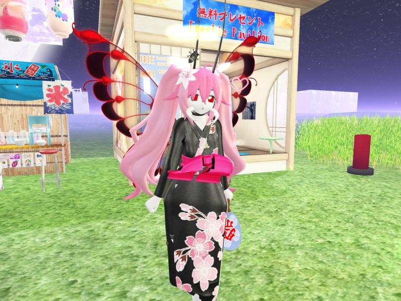 A compressed screenshot from Second Life of my adventures.