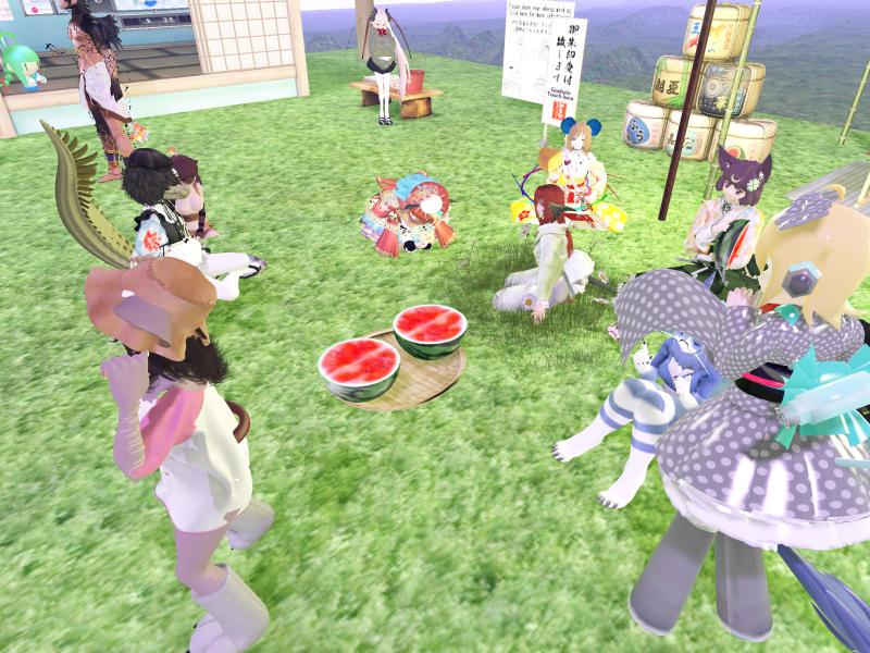 A compressed screenshot from Second Life of my adventures.