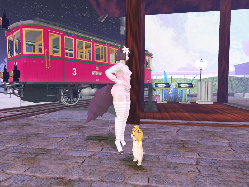A compressed screenshot from Second Life of my adventures.