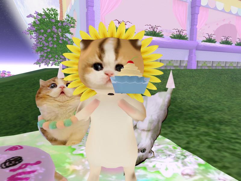 A compressed screenshot from Second Life of my adventures.