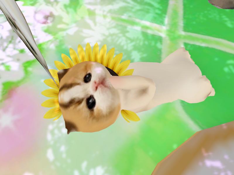 A compressed screenshot from Second Life of my adventures.