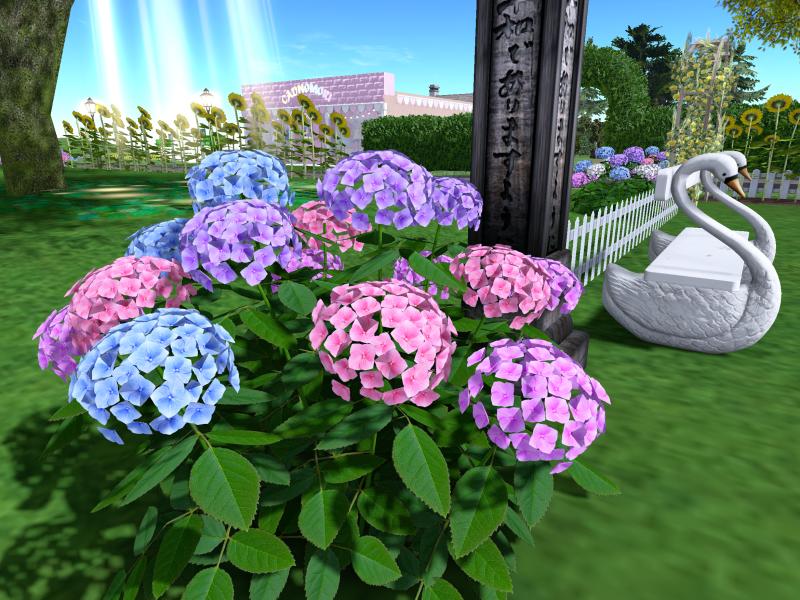 A compressed screenshot from Second Life of my adventures.