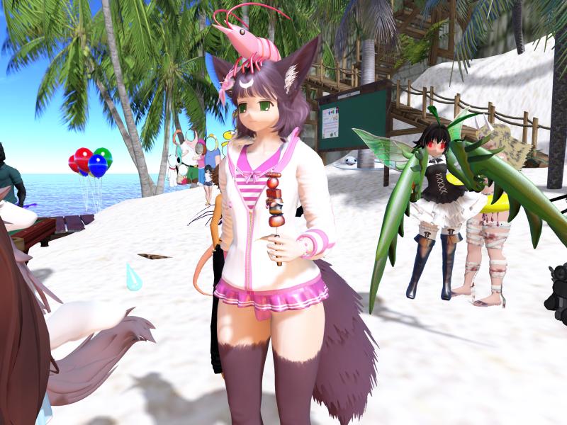 A compressed screenshot from Second Life of my adventures.