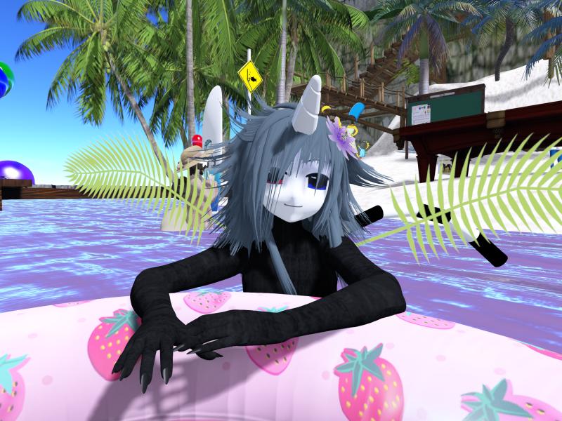 A compressed screenshot from Second Life of my adventures.