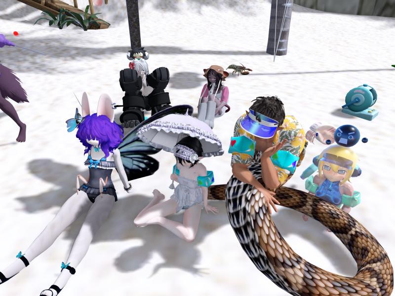 A compressed screenshot from Second Life of my adventures.